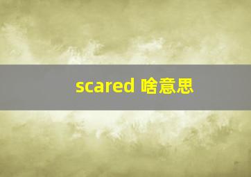 scared 啥意思